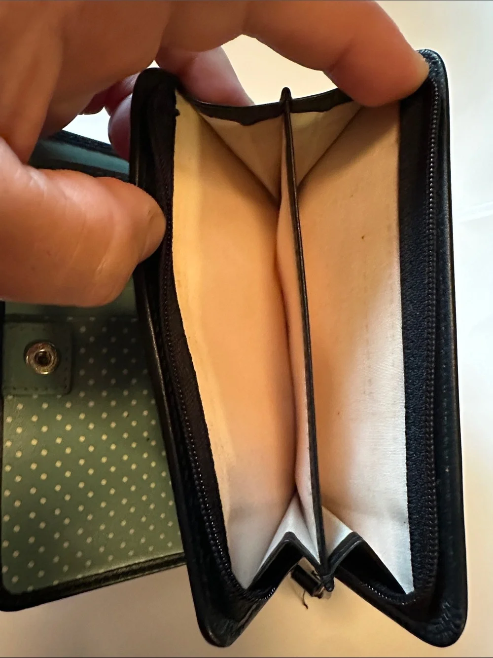 RADLEY LONDON Black Wallet with Mint Dog Motif